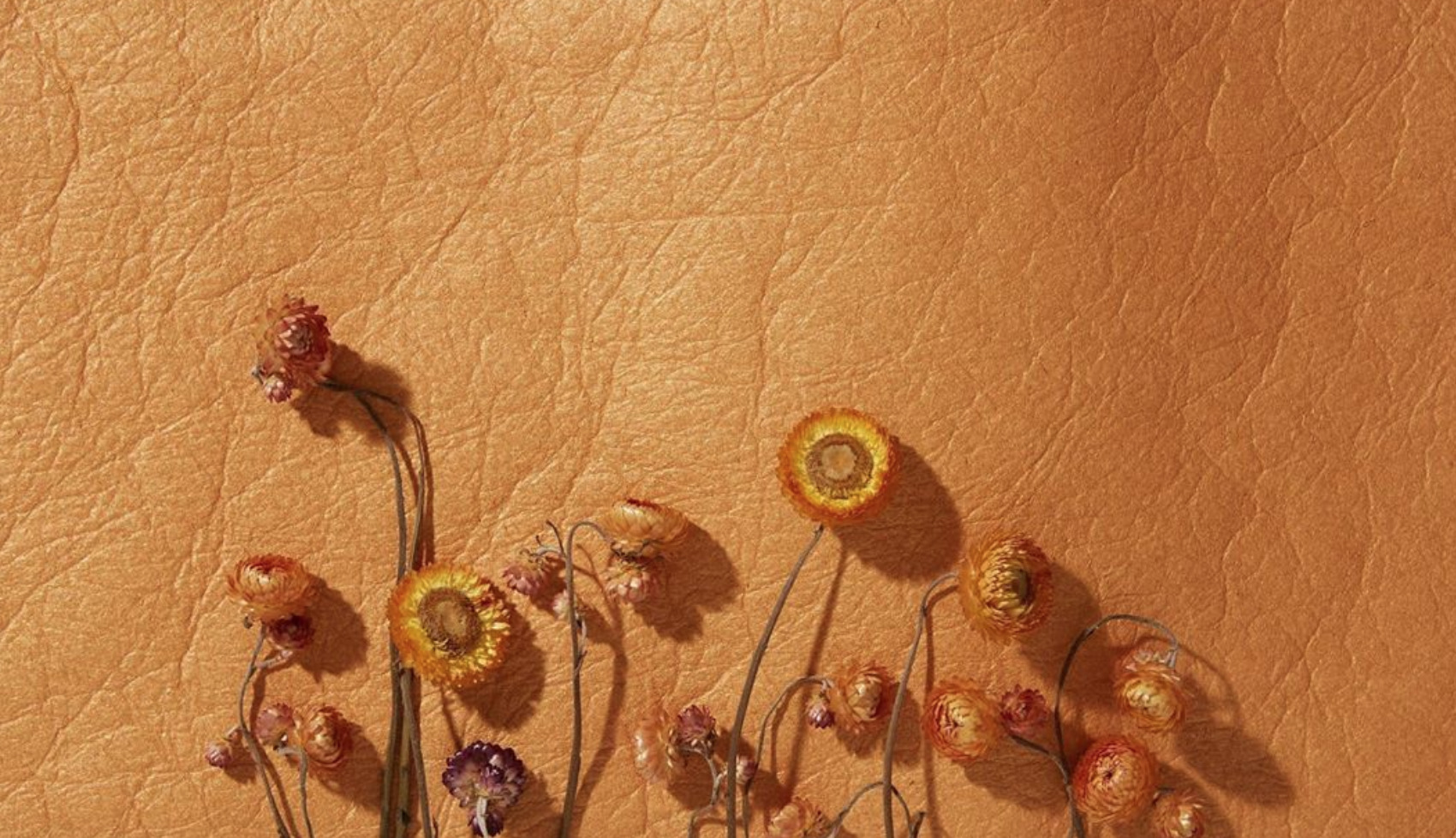 What is Sustainable Fabric Innovation? - Sustainable & Social